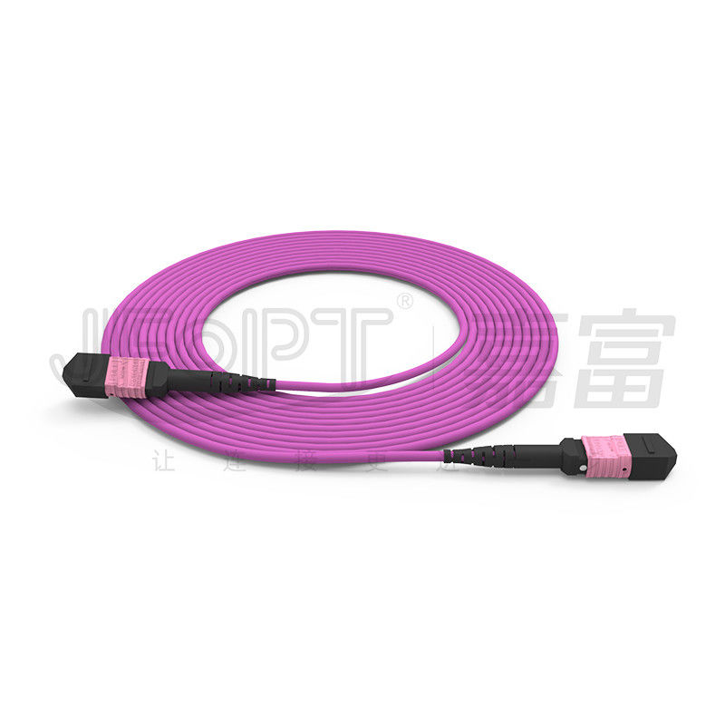 het Flardkoord 24 Kernen Multimode OM4 50/125 LSZH 3.04.0mm Heather Violet Jumper van 100G MTP