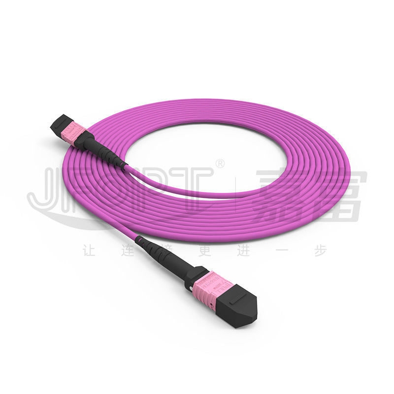 het Flardkoord 24 Kernen Multimode OM4 50/125 LSZH 3.04.0mm Heather Violet Jumper van 100G MTP