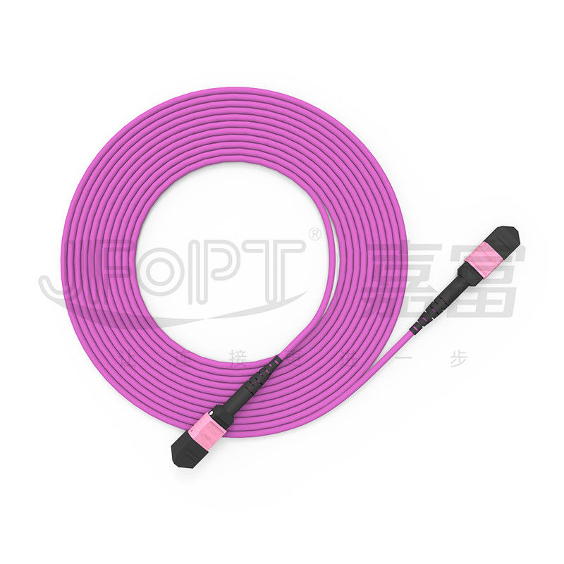 het Flardkoord 24 Kernen Multimode OM4 50/125 LSZH 3.04.0mm Heather Violet Jumper van 100G MTP