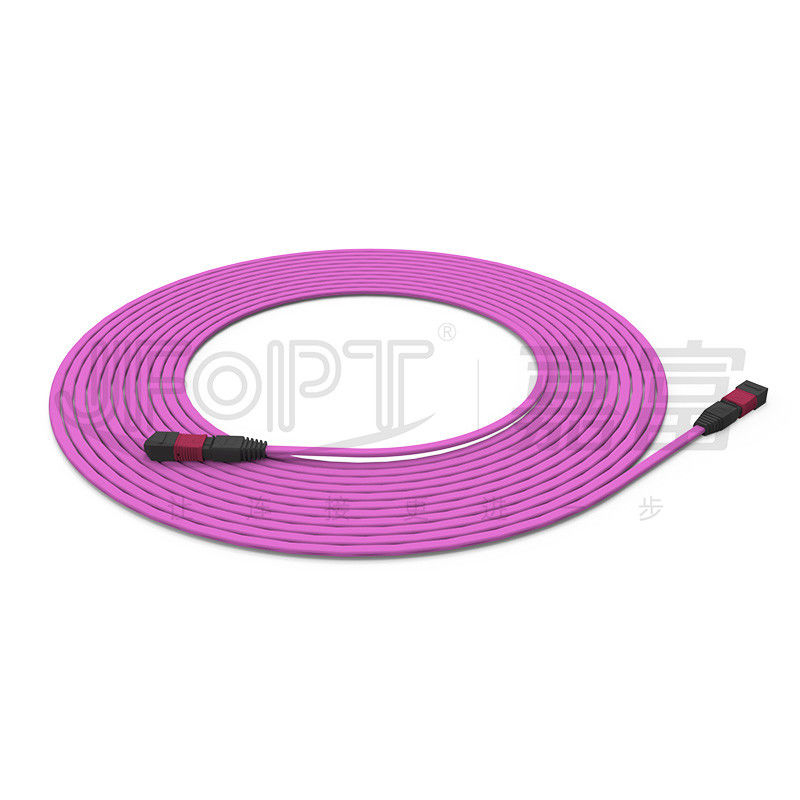 Vlamvertragende rompkabel 12-kern multimode 50/125 OFNR/OFNP
