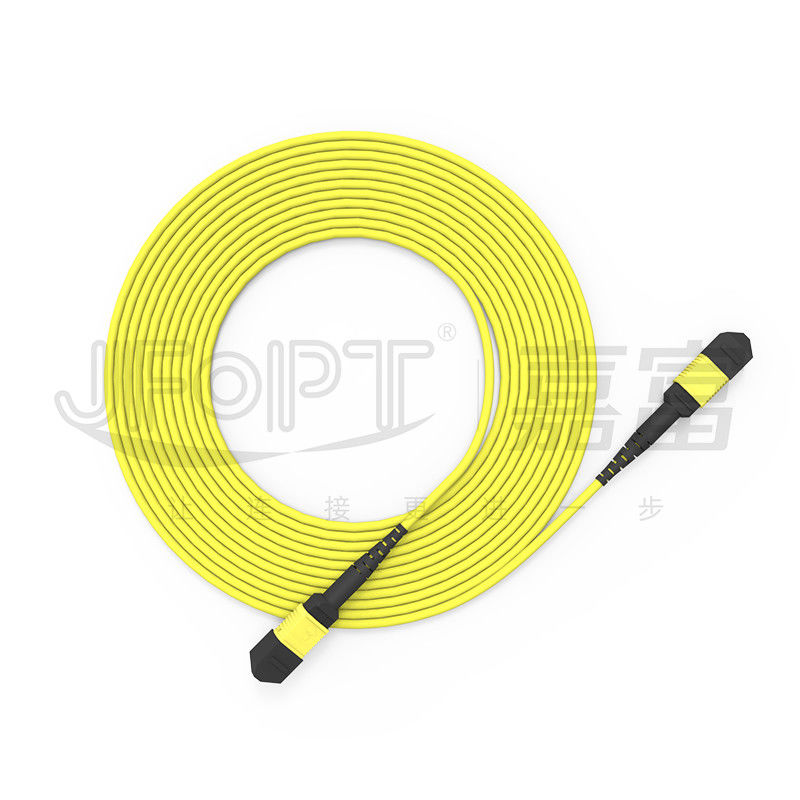 24-Core Single-Mode MPO Trunk Cable G657A1/G657A2 Backbone Jumper