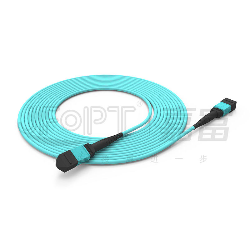 10 Gigabits MPO patch cord Fast Connection voor optische signaalverbinding in de computerruimte