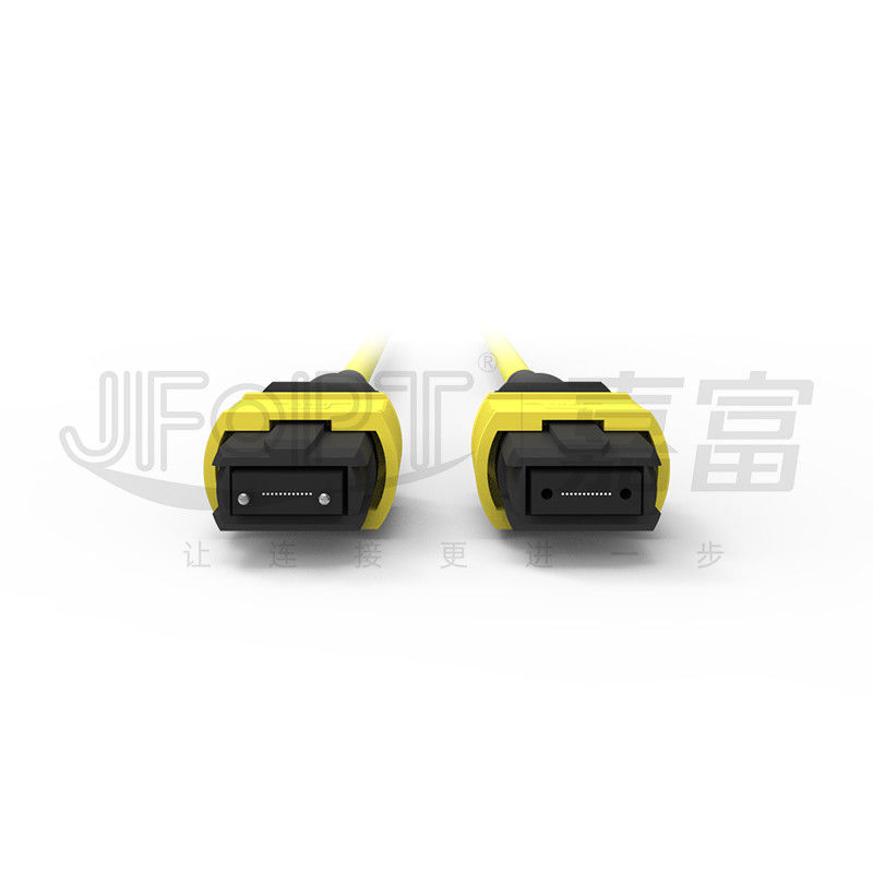 12 Core MPO Trunk Cable LSZH 2.0mm/3.0mm laagverlies Single-Tube Mini Cable MPO Patch Cord